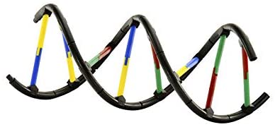 665002 Genetics & DNA (V 2.0) 8+