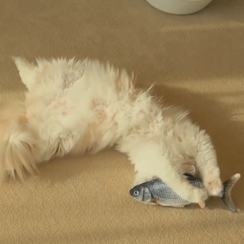 Brinquedo Para Gatos - Peixe Toy