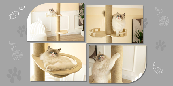 Floor-to-Ceiling Climbing Scratching Post Cat Tree