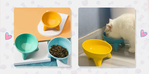 Standing Ceramic Pet Feeding Bowls