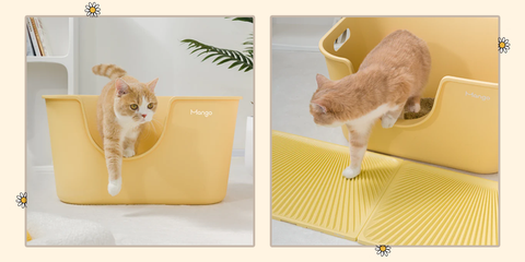 high edge litter box