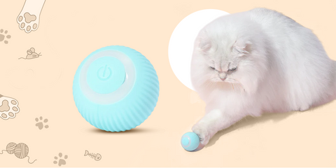 Rolling Ball Cat Toys