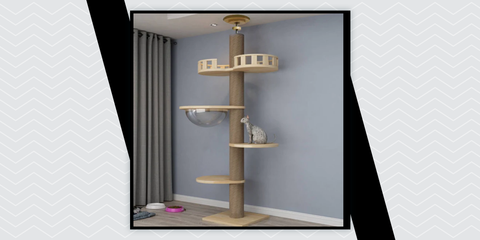  Floor-to-ceiling climbing cat tree