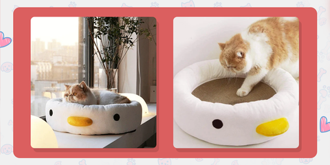 Multifunction Cat Bed