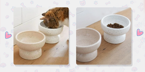 PURROOM Ceramics Neck-Protector Bowl Feeder