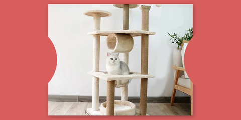 5-Level Cat Tree Tower Scratcher Furniture