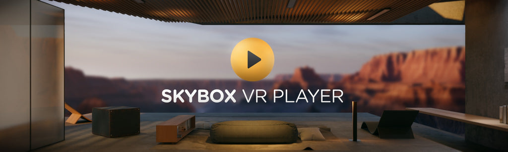 LECTEUR SKYBOX VR