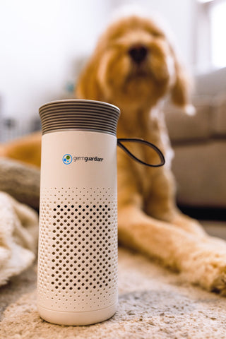 pet dander air purifier