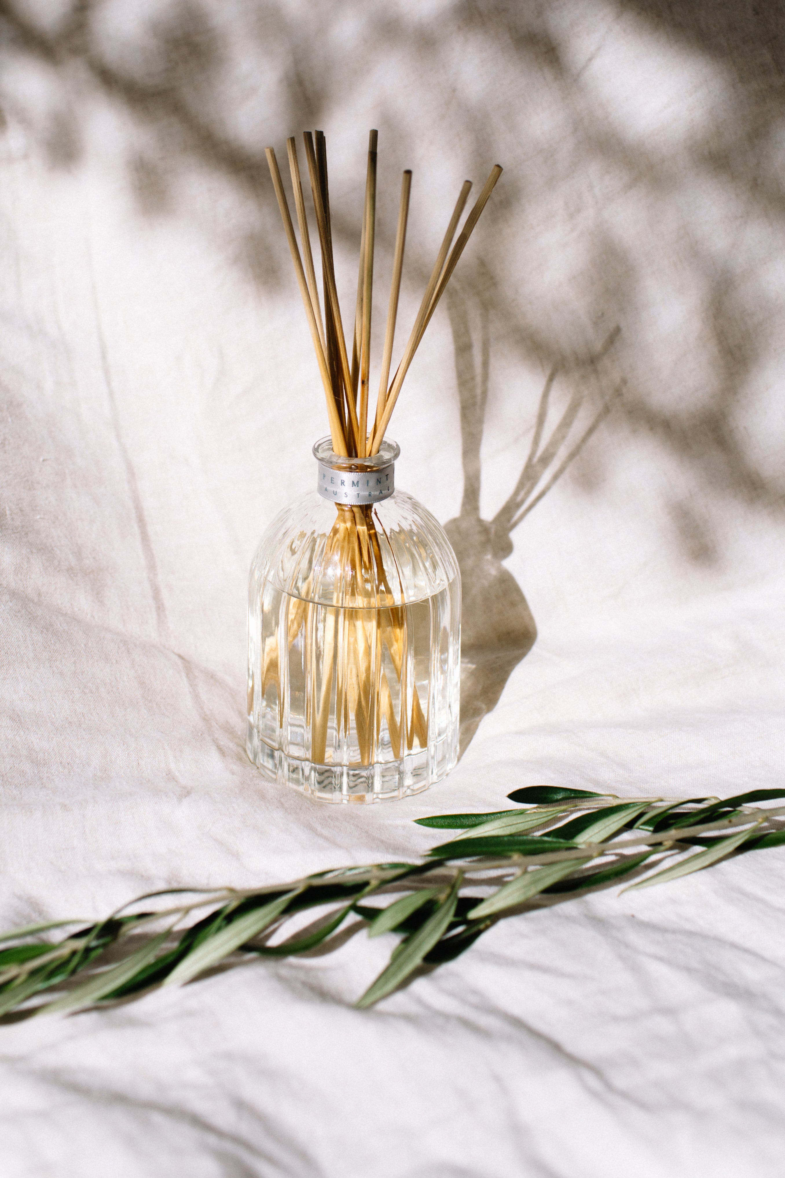 Fresh Sage & Cedar Fragrance Diffuser 350ml