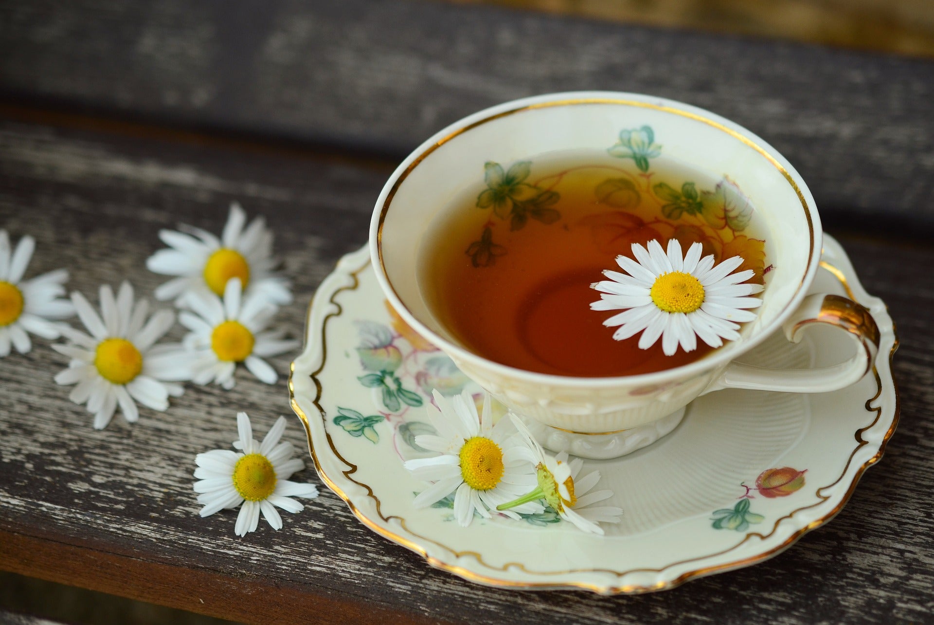 7 Chamomile Tea Benefits +Healthy Skin, Hair, Sleep and More – Sencha Tea  Bar