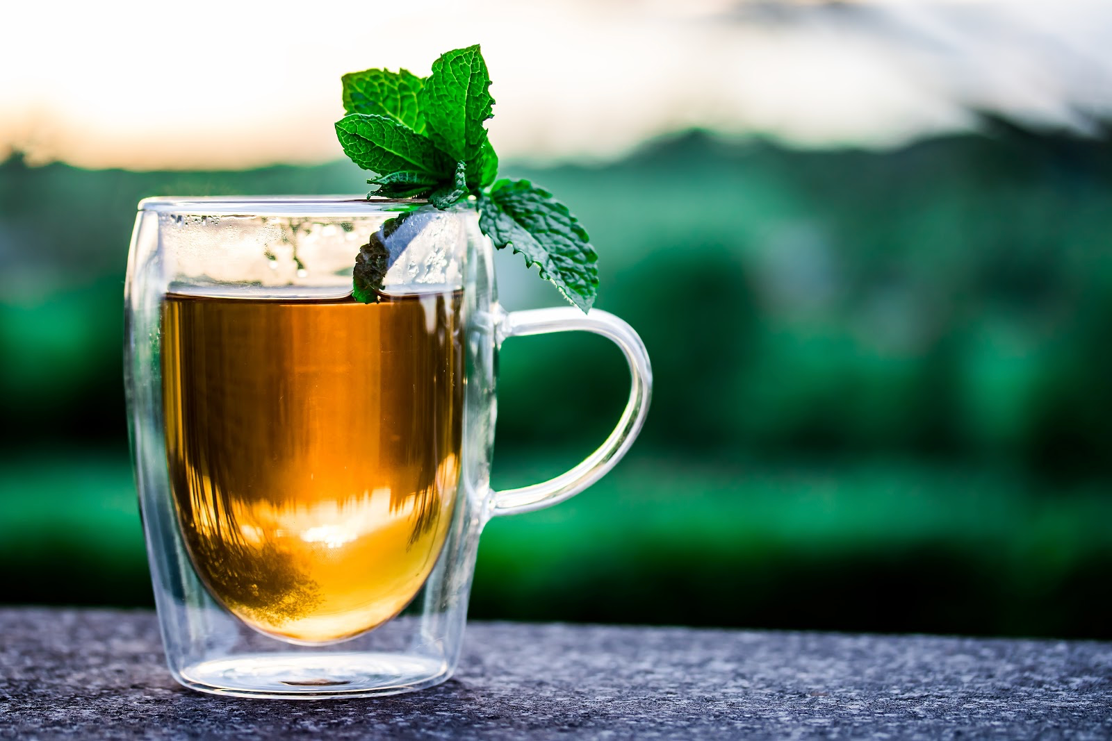 7 Herbal Tea Benefits for a Healthier Life – Sencha Tea Bar