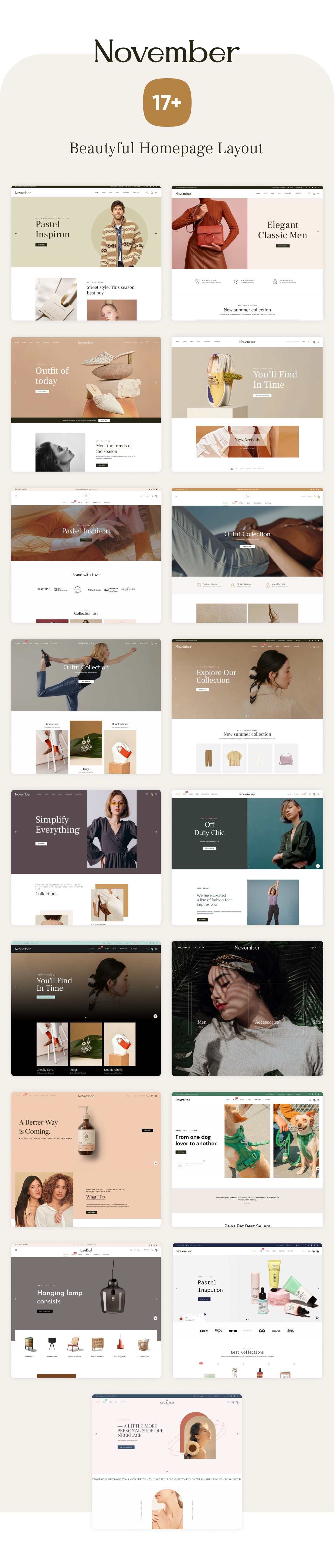 Shopify Theme