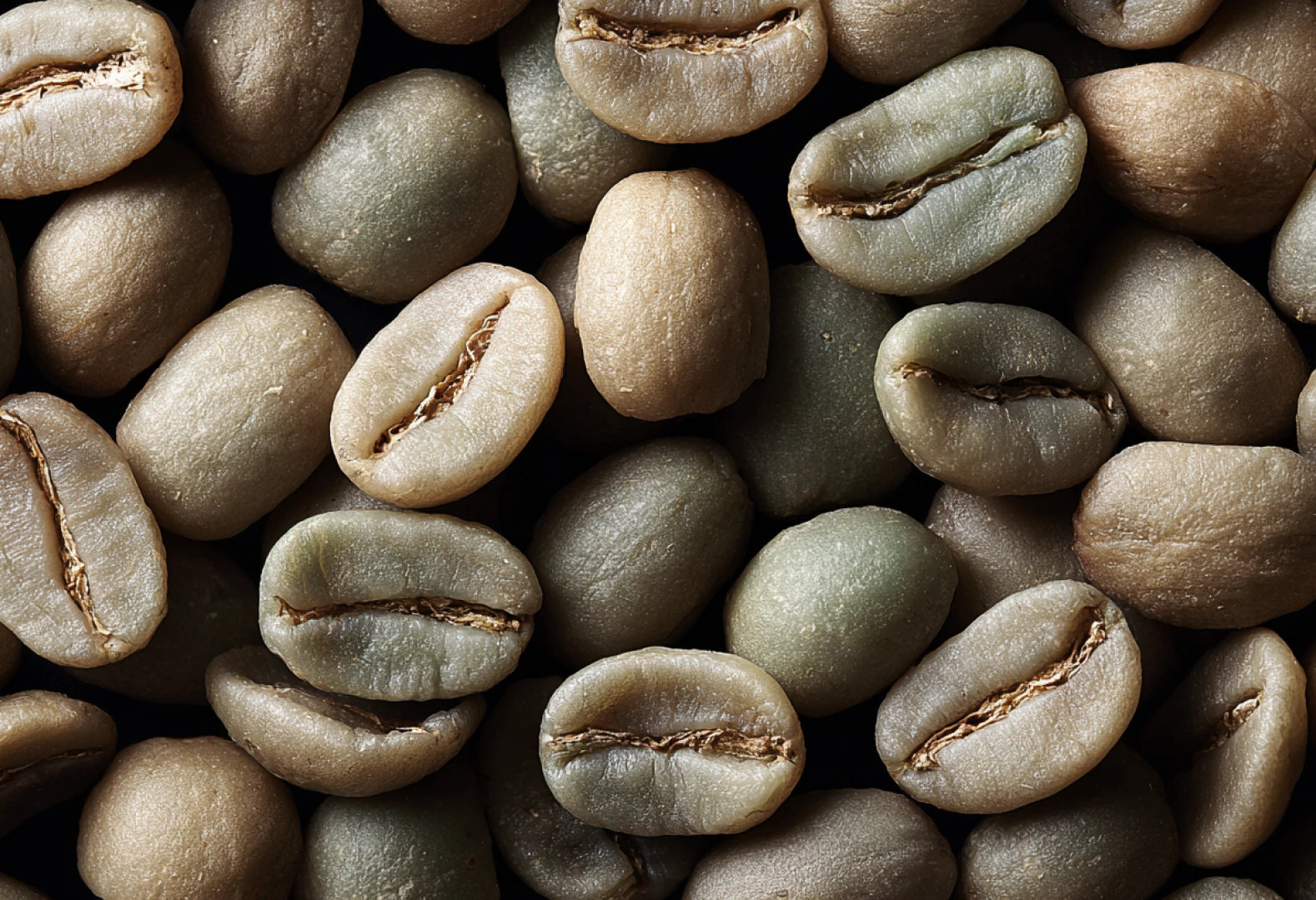 Green Coffee Bean Extract