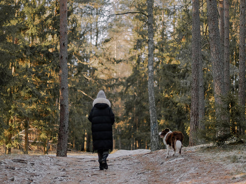 Walking in the woods