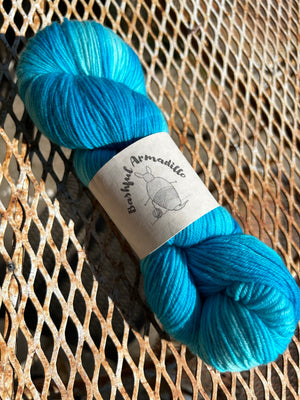 Island Time - Fingering Yarn - Bashful Armadillo Fibers