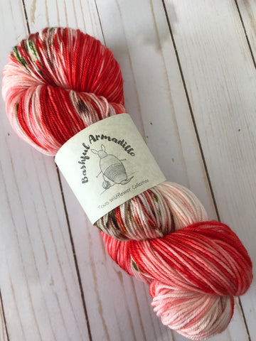 Orange Blossom Special - Fingering/Sock Yarn – Bashful Armadillo Fibers