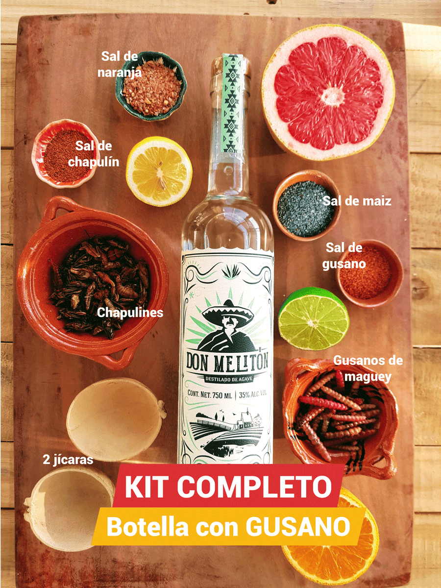 KIT COMPLETO C/ BOTELLA GUSANO – La mil remedios