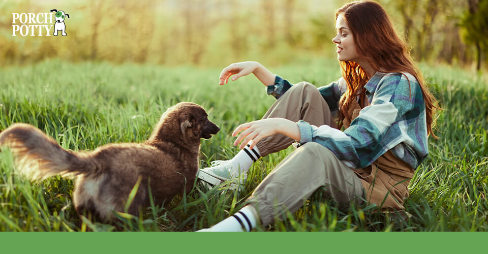 A dog and its owner play and have fun on a green grassy yard