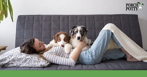 Two dogs lay on top of their owner on a couch