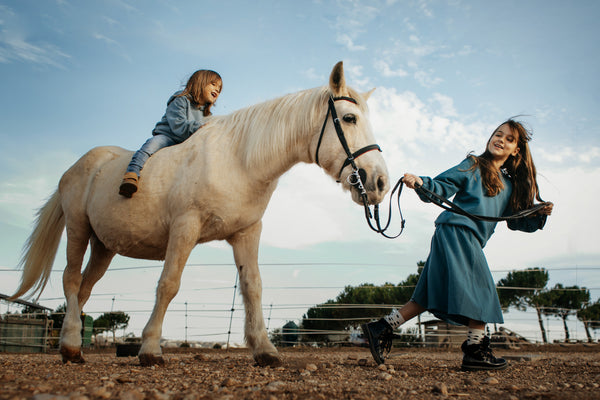 boy and girl in lmn3 top 19 playing with white horse