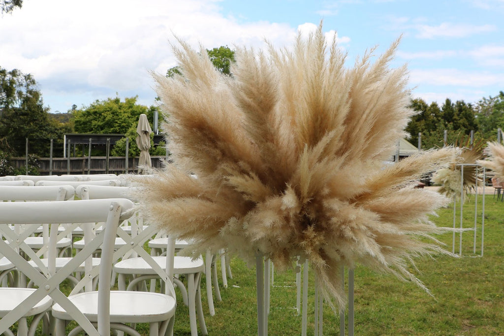 Dried wedding aisle flowers in Melbourne