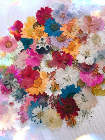 HOW TO MAKE A DRIED FLOWER SHADOW BOX