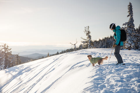 ruffwear powder hound jacket