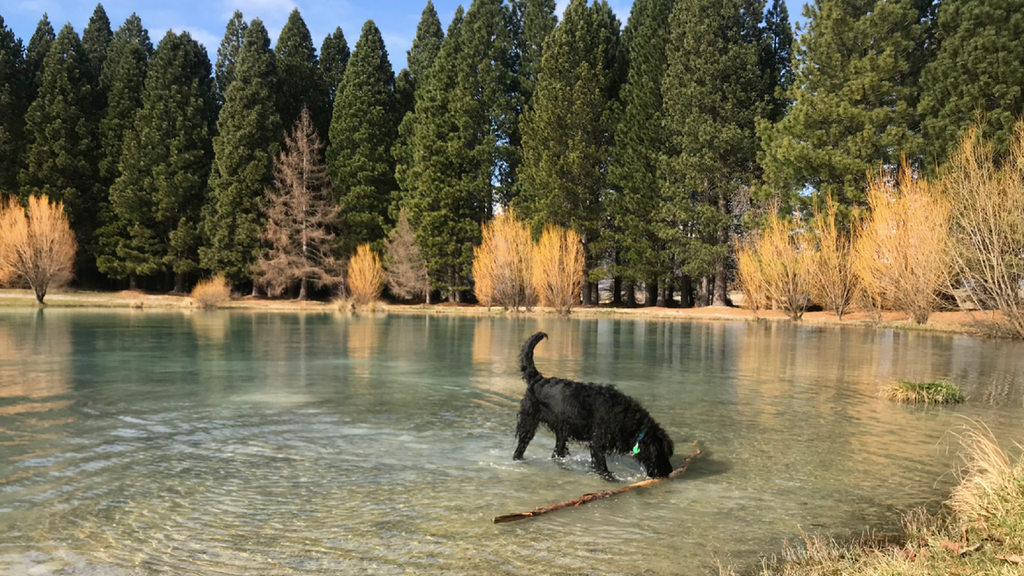 Lake Ruataniwha, perfect place to have a road trip break