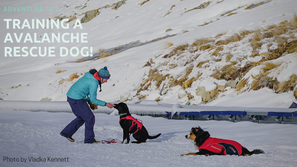 avalanche pet cooling mat