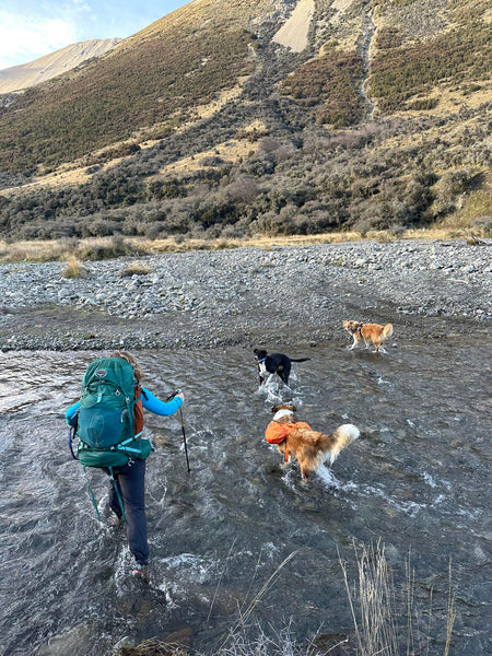 Wanda and dog crossing a river