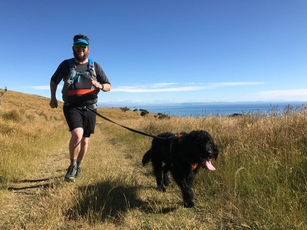 Rocky and Badger running in the Christchurch Port Hills