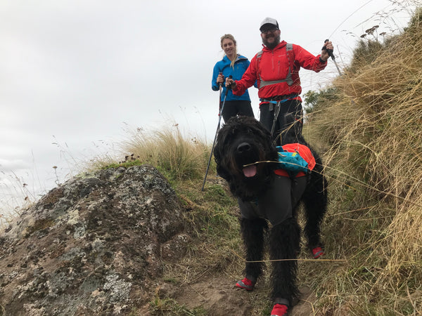 Dogs can help get your jackets more muddy and less water proof