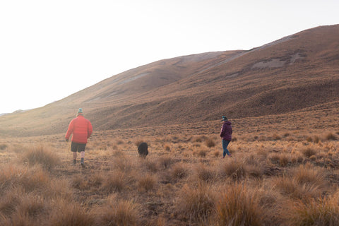 two people and a dog walking in the hills