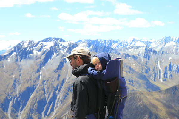 Mt Larkins NZ