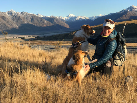 Lady with a mountain background view playing with two border collies.