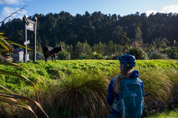 day packs nz