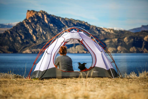 A lady and a dog in a tent overlooking a lake and mountains