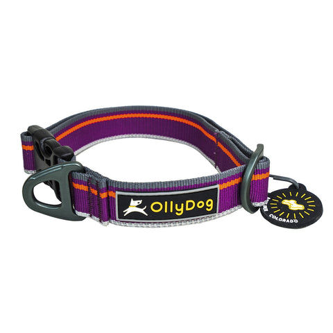 Ruffwear Crag Dog Collar  Outdoor Running Dog Collar and Leash NZ –  Further Faster