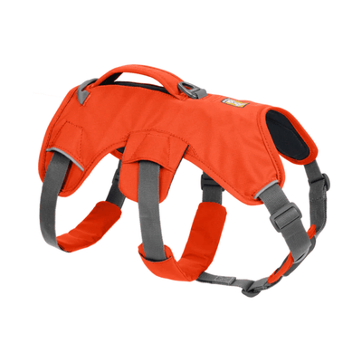 Ruffwear Web Master Dog Harness | Further Faster | Reviews on Judge.me