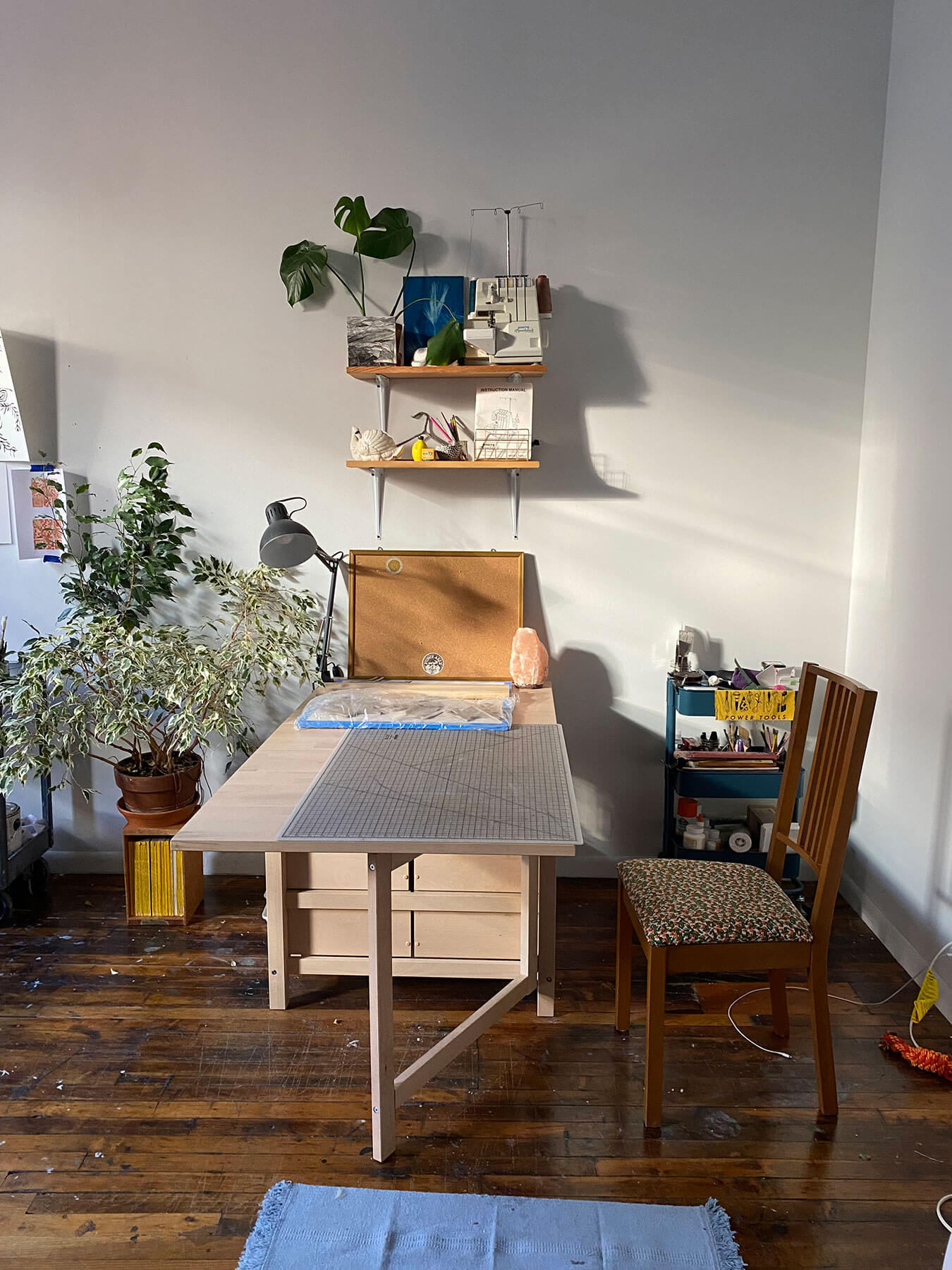 A shot of Maddy Conover's studio space in afternoon light