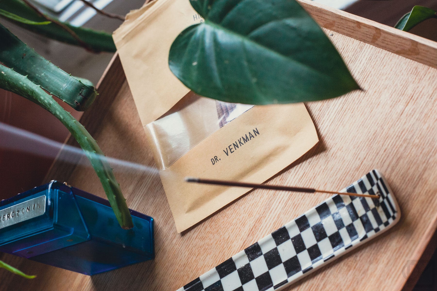 Dr Venkman incense burning, with plant leaves framing the image