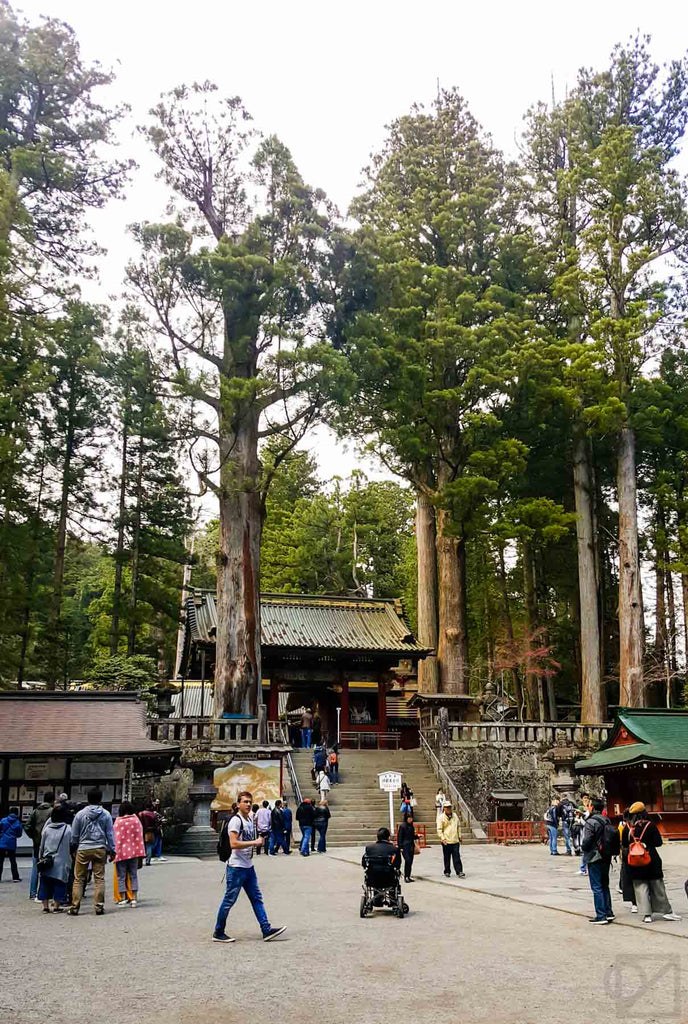 Toshogu Shrine, the mausoleum of shogun Tokugawa Ieyasu