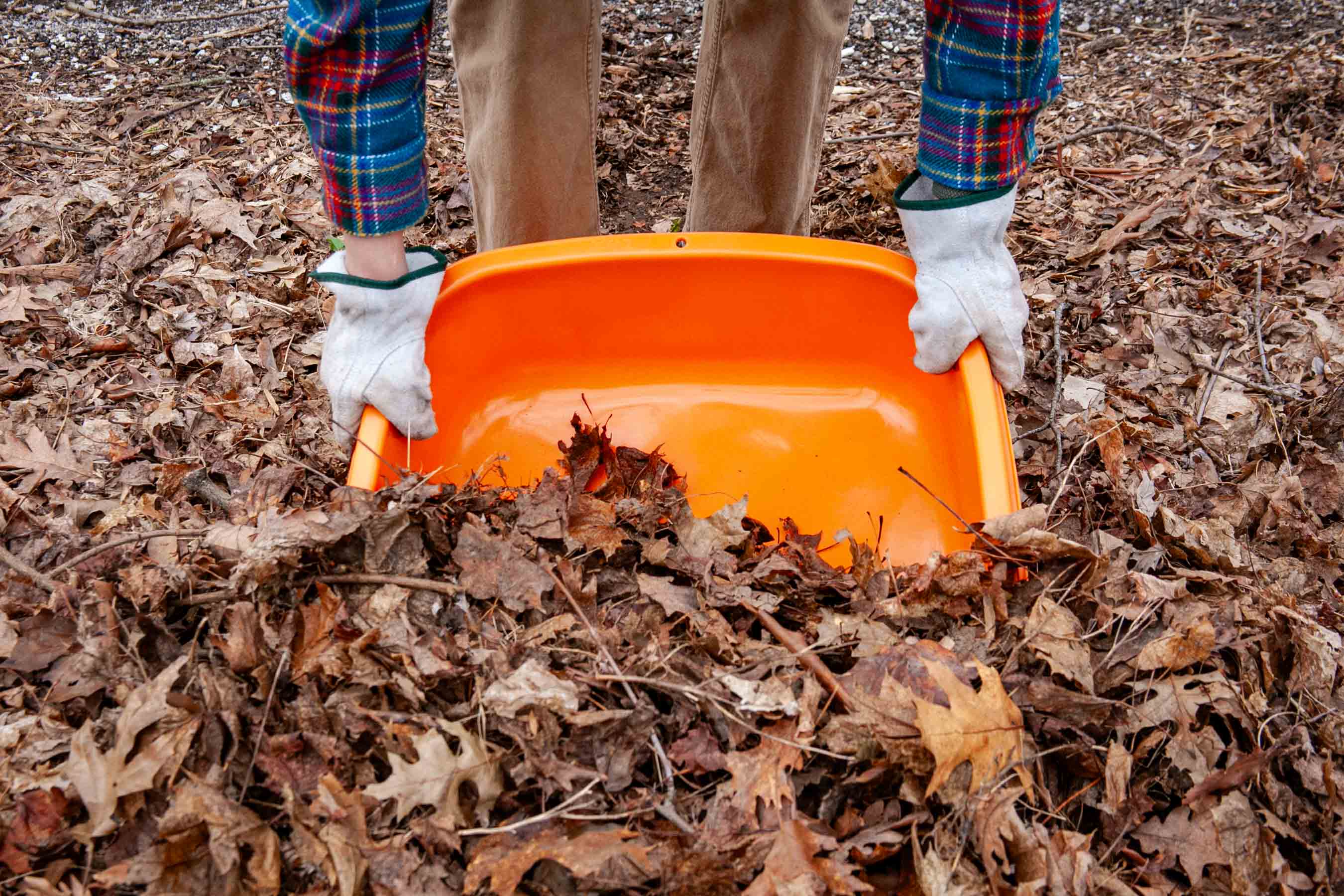 Niwaki's bright leaf pan does wonders in the yard.