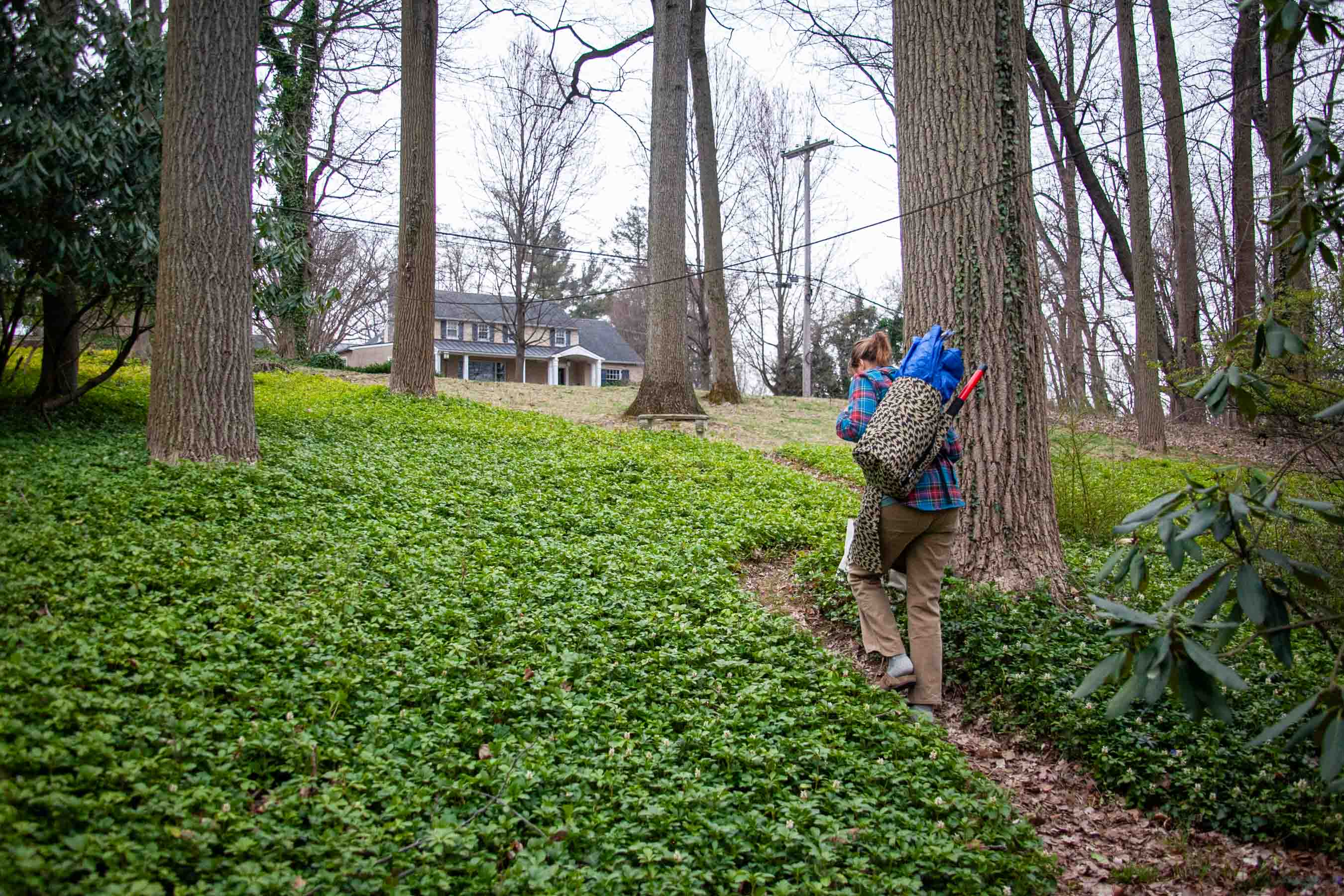 Walking up the hillside to where the most work needs to get done this round.