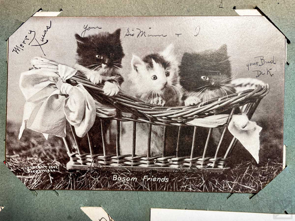 A Christmas card, but one that's too cute to pass up. It's a black and white photo of three kittens in a basket, with text that says 'Bosom Friends'