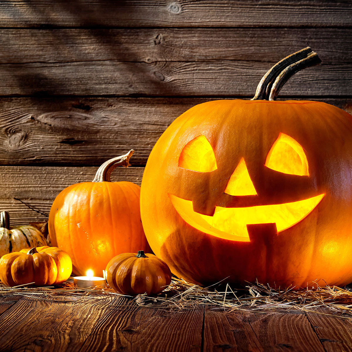 The Ultimate Halloween Survival Guide