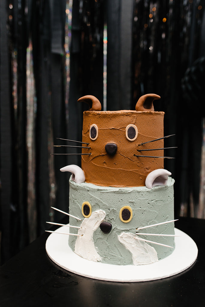 adelphi mou event signage cake cat scottishfold