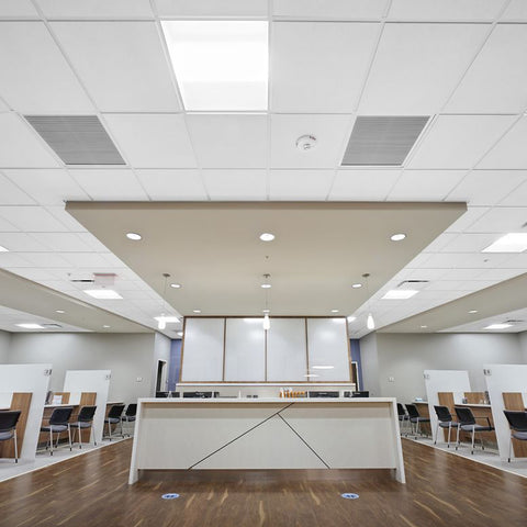 Library ceiling