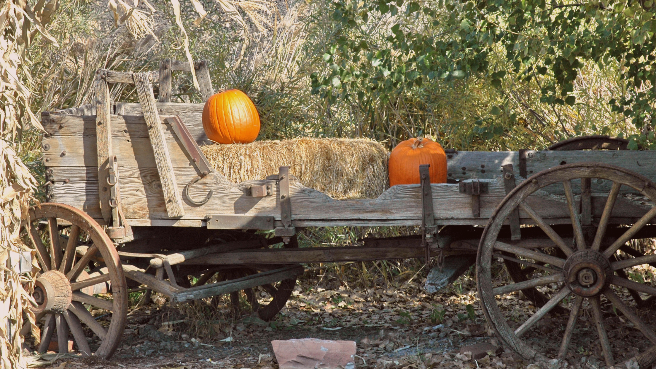 Picture of a vintage wagon with hay and pumpkins