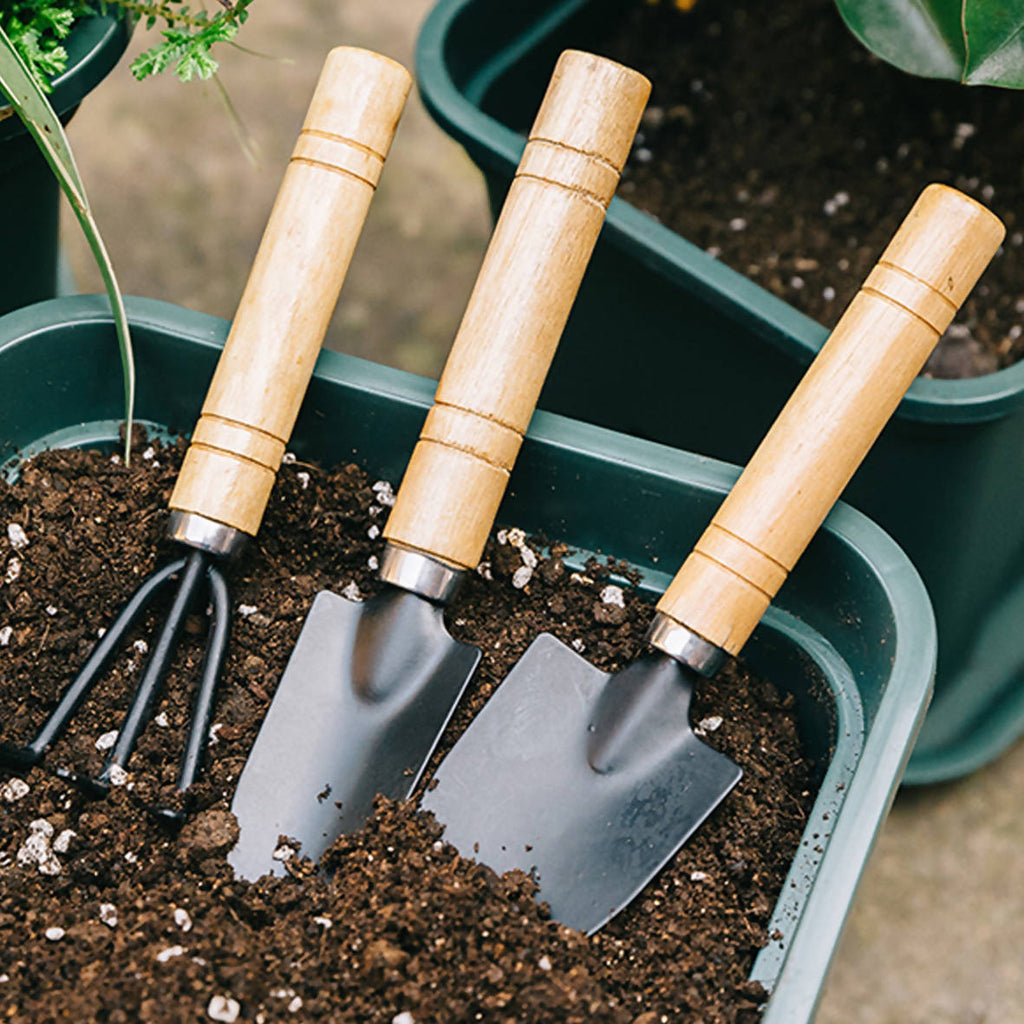 Basic Gardening Tools Set – Noah Garden Centre